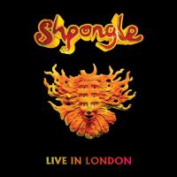 Artwork for Live in London (2013) by Shpongle