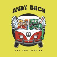 Artwork for Say You Love Me by Andy Bach