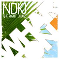 Artwork for The Right Choice by NDKj