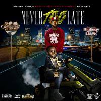 Artwork for Never Too Late by Highway Yella