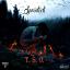 Artwork for T.S.O.
