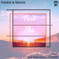 Artwork for Feel the Sun by Frankie