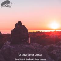 Artwork for Un Atardecer Juntos by Terry Noise