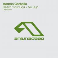 Artwork for Reach Your Soul / Nu Dup by Hernan Cerbello