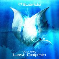 Artwork for Last Dolphin by Ozo Effy