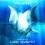 Artwork for Last Dolphin (Club Mix)