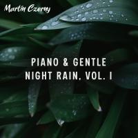 Artwork for Piano & Gentle Night Rain, Vol. I by Josef Homola