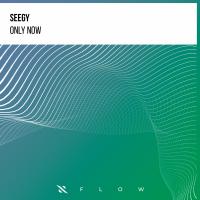 Artwork for Only Now by Seegy