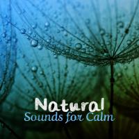 Artwork for Natural Sounds for Calm by Nature Sounds Nature Music