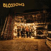 Artwork for Blossoms by Blossoms