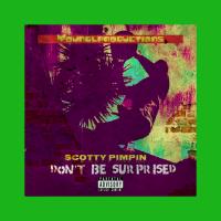 Artwork for Don't Be Surprised by SCOTTY PIMPIN