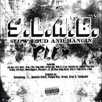 Artwork for Plex, Vol. 4.5 (S.L.A.B.ed) by Trae Tha Truth