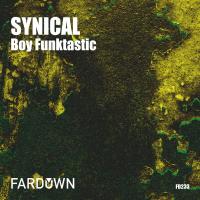 Artwork for SYNICAL by Boy Funktastic