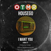 Artwork for I Want You by Housego