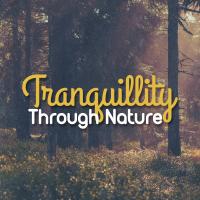 Artwork for Tranquillity Through Nature by Nature Sound Collection