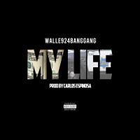 Artwork for My Life by Walle924BangGang