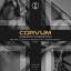 Artwork for Harmony Corruption II (Christian Gerlach Remix)