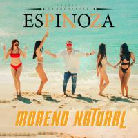 Artwork for Moreno Natural by Espinoza Paz