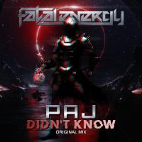 Artwork for Didn't Know by Paj