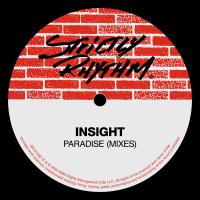 Artwork for Paradise (Mixes) by Insight