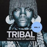 Artwork for Tribal Tech House Of Natives, Vol. 2 by Various Artists