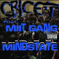 Artwork for Mindstate (feat. Miit Gang) by Cricet