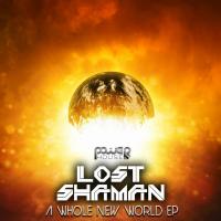 Artwork for A Whole New World by Lost Shaman