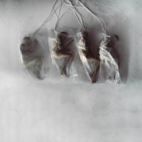 Artwork for Sudden Sky by Crown The Empire