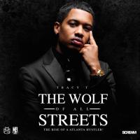 Artwork for The Wolf of All Streets (The Rise of a Atlanta Hustler!) by Tracy T