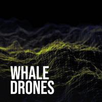 Artwork for Whale & Drones by Whale Sounds