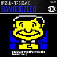 Artwork for Bamboozled by Bass Jumper