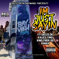 Artwork for Im Just Sayin by Rico