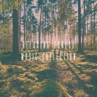 Artwork for Relaxing Forest Music Collection by YOGA