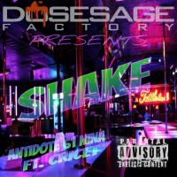 Artwork for Shake (feat. Cricet) by Antidote 61 Nina