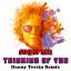 Artwork for Thinking of You (Danny Trexin Remix)