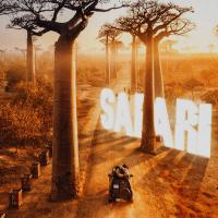 Artwork for Safari by Mister