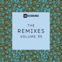 Artwork for The Remixes, Vol. 35 by Various Artists