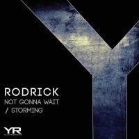 Artwork for Not Gonna Wait / Storming by Rodrick