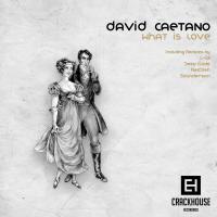 Artwork for What is Love by David Caetano