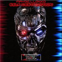 Artwork for Self Destruction by Maydo Llokko