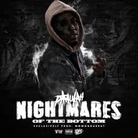 Artwork for Nightmares of the Bottom by P. T. Mulah