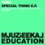 Artwork for Special Thing (Original Mix)