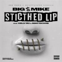 Artwork for Stitched Lip (feat. Celly Ru & B$M TSCOOB) by Big $ Mike