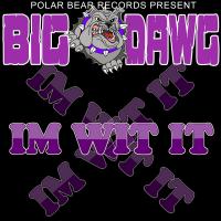 Artwork for I'm Wit It by Big Dawg