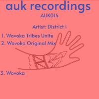 Artwork for Wvoka Mixes by District 1