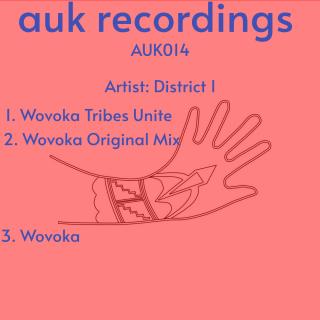 Artwork for Wovoka (Alternative Mix)