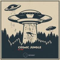 Artwork for Cosmic Jungle by DJ Moy