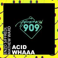 Artwork for Acid Whaaa by Enzo Siffredi