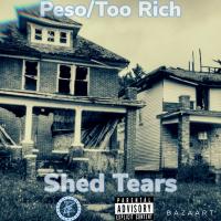 Artwork for Shed Tears (feat. Too Rich) by Peso