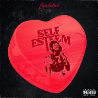 Artwork for Self Esteem Pack by Lambo4oe